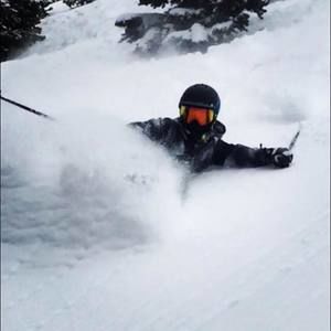 Meet your Posher, Gavin